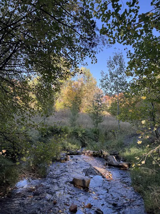 Goodenough Creek Campground Picture 6