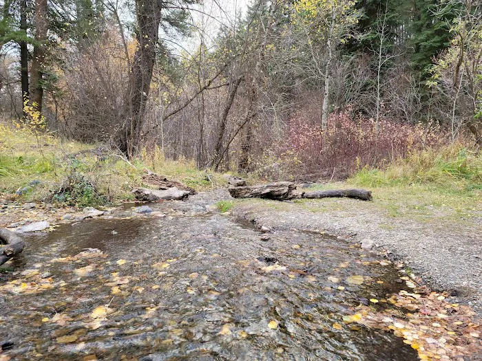 Goodenough Creek Campground Picture 10