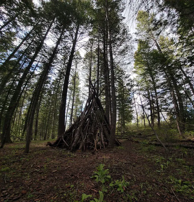 Scout Mountain Campground Picture 6