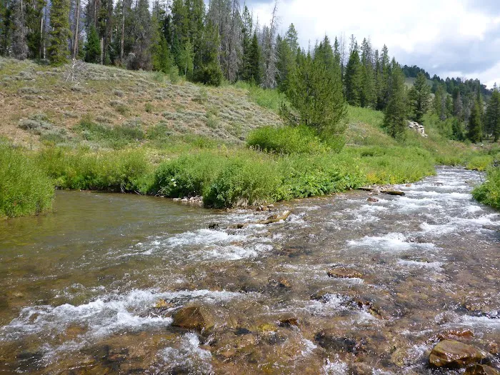 Hobble Creek Campground Picture 1