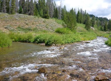 Hobble Creek Campground
