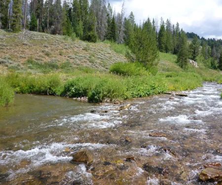 Hobble Creek Campground