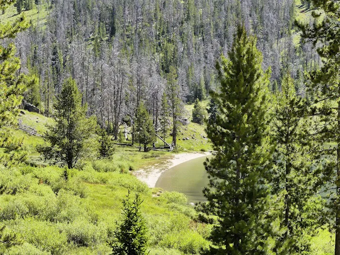Green River Lake Campground Picture 2
