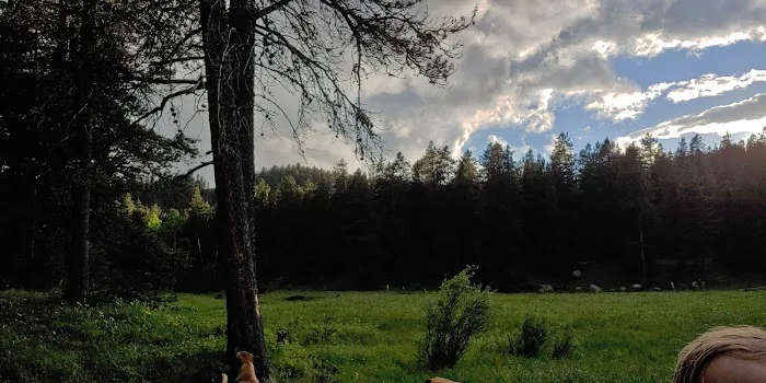 Little Goose Campground Picture 1