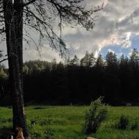 Little Goose Campground ico