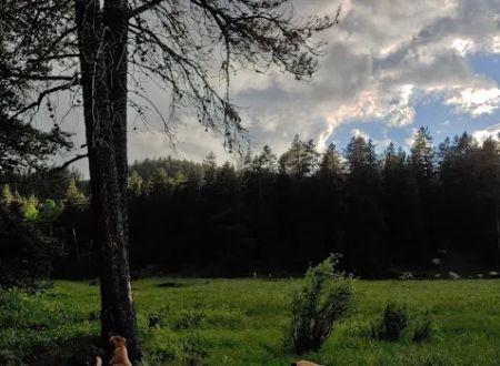 Little Goose Campground