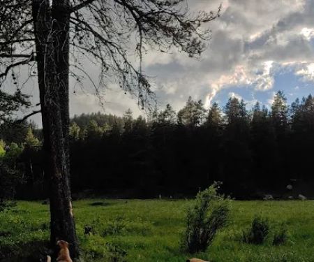 Little Goose Campground