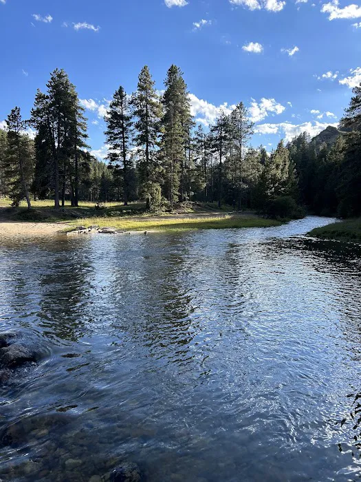 Little Goose Campground Picture 4