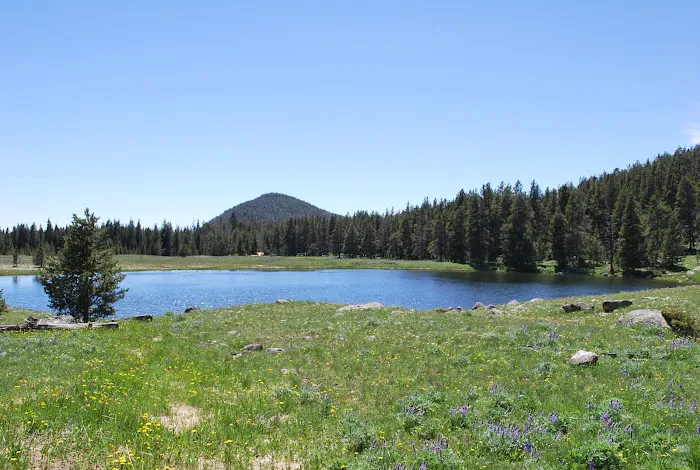 Medicine Lodge Lake Campground Picture 7