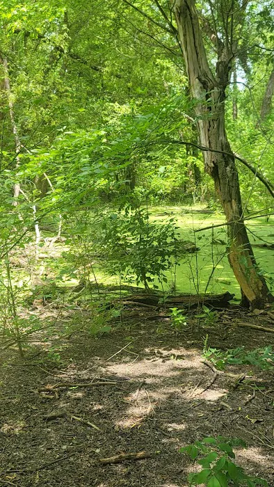 Bear Creek Campground Picture 1