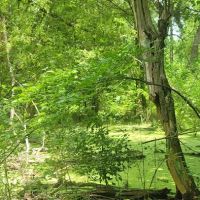 Bear Creek Campground ico