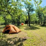 Bull Elk Campsite