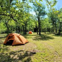 Bull Elk Campsite ico