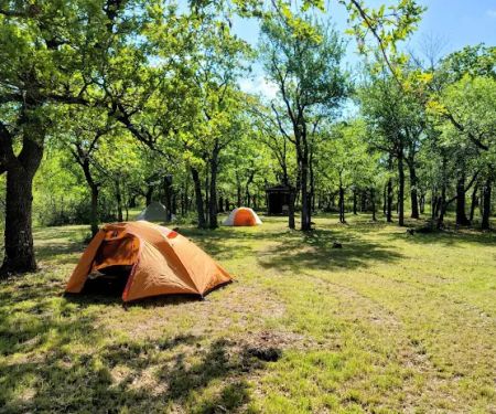 Bull Elk Campsite