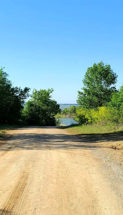 Big Tree Campsite Picture 3