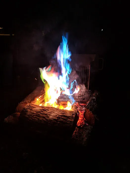 Dukes Forest Campground Picture 4