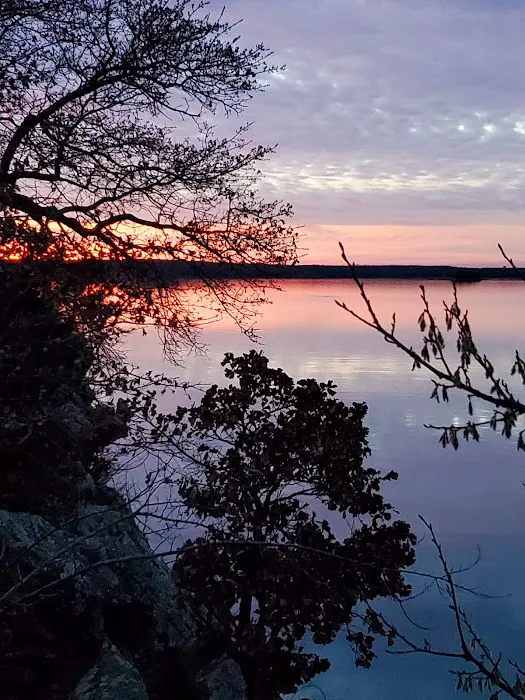 Marietta landing campground Picture 10