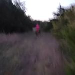 CAMP