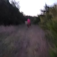 CAMP ico