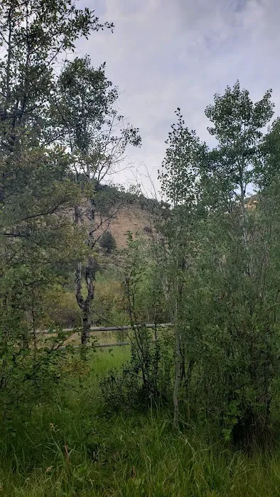 Saint Charles Campground Picture 5