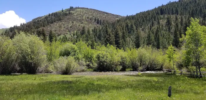 Saint Charles Campground Picture 6