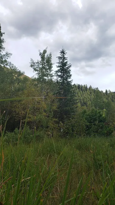 Saint Charles Campground Picture 7