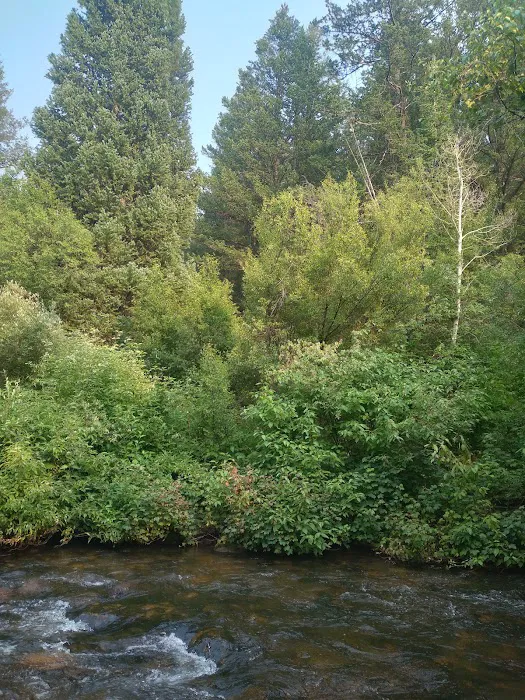 Davis Canyon Overflow Campground Picture 4