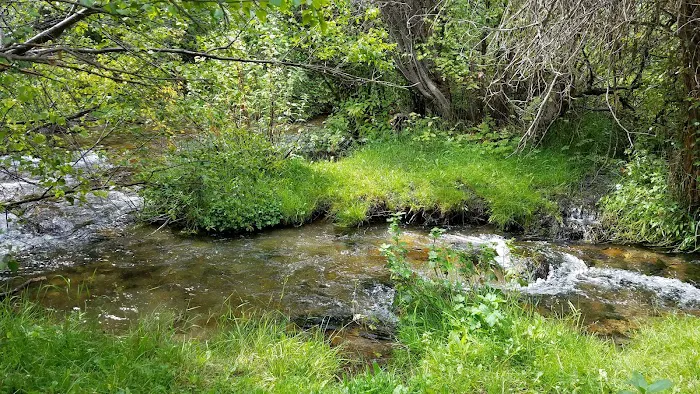 Davis Canyon Overflow Campground Picture 7
