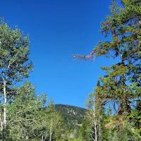 Porcupine Campground ico