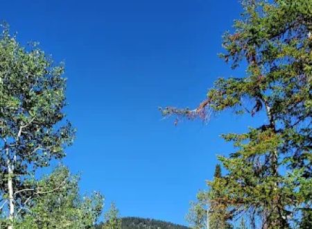 Porcupine Campground