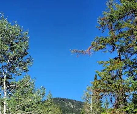 Porcupine Campground