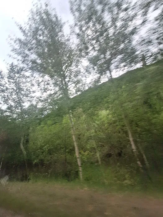 Porcupine Campground Picture 3