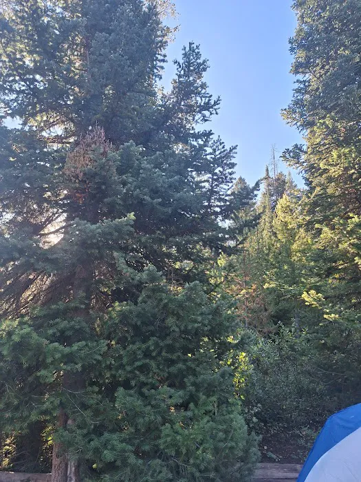 Porcupine Campground Picture 8