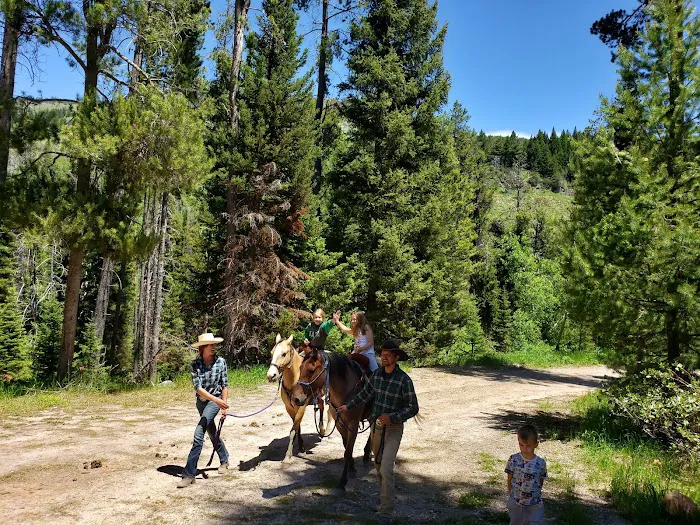 North Fork Overflow Campground Picture 2