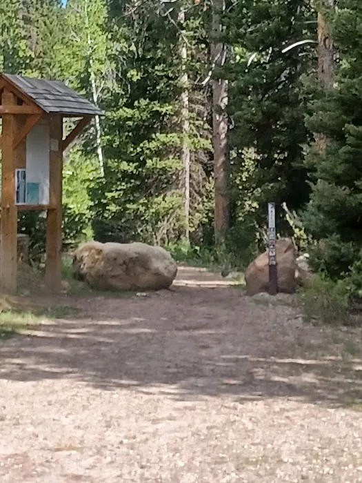 North Fork Overflow Campground Picture 6