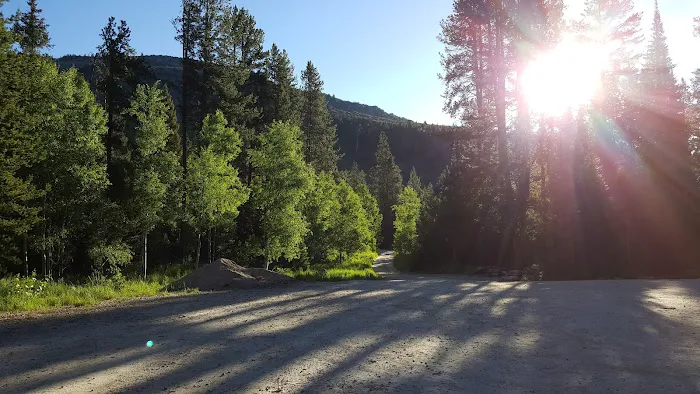 North Fork Overflow Campground Picture 3