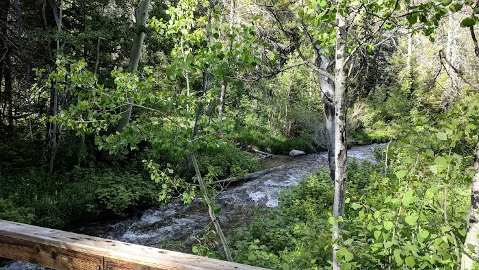 North Fork Overflow Campground Picture 9