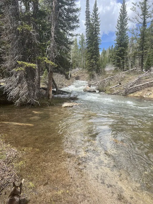 North Fork Overflow Campground Picture 7