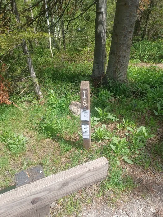 North Fork Overflow Campground Picture 5