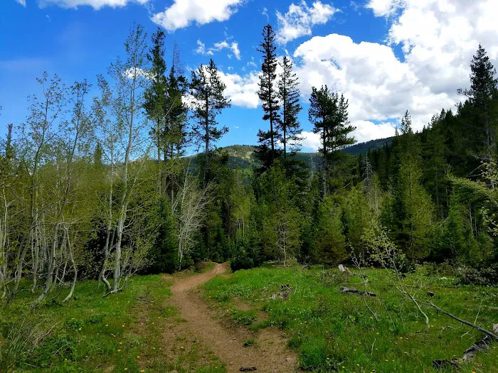 North Fork Overflow Campground Picture 8