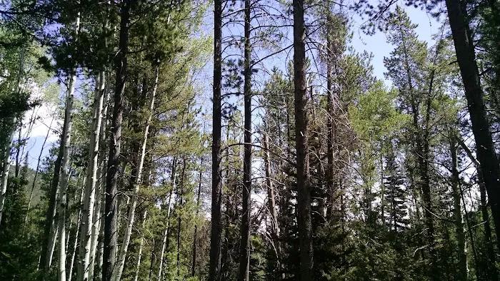 Cloverleaf Campground Picture 10