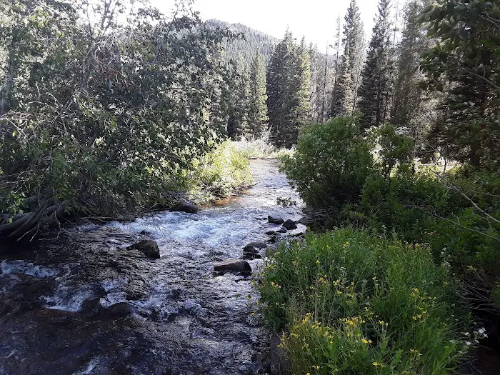 Cloverleaf Campground Picture 6