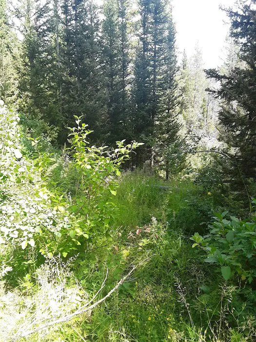 Cloverleaf Campground Picture 4