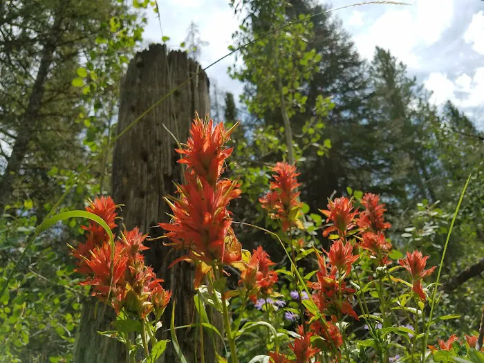 Cloverleaf Campground Picture 1