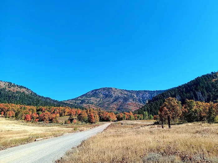 Hull Valley Camp Picture 3