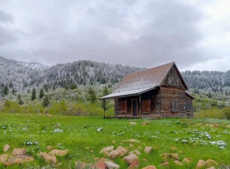 Hull Valley Camp