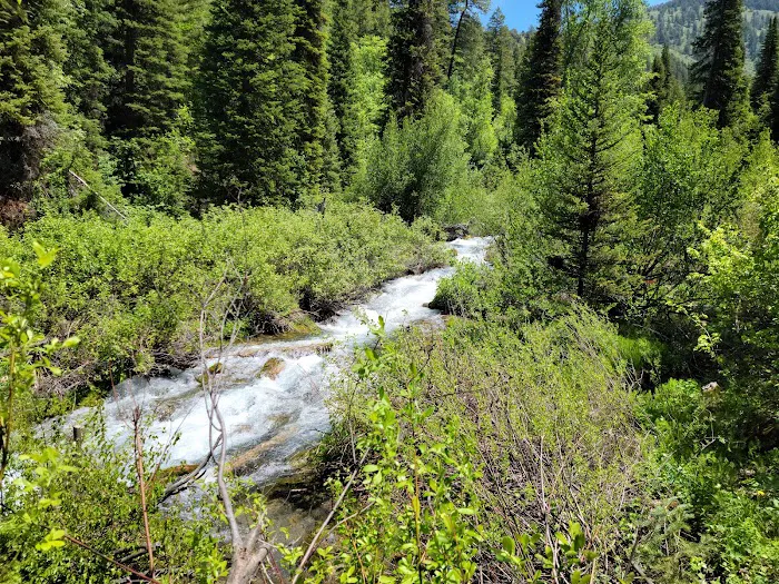 Willow Flat Campground Picture 5