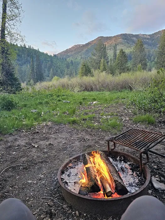 Willow Flat Campground Picture 9