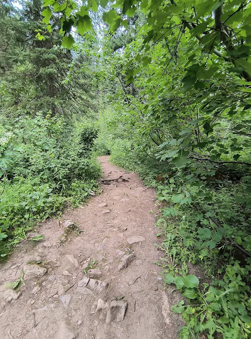 Willow Flat Campground Picture 8