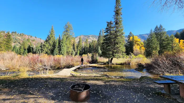 Willow Flat Campground Picture 7